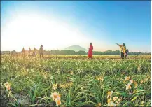  ?? CAI WENYUAN / FOR CHINA DAILY ?? Visitors enjoy the view at a daffodil planting base in Zhangzhou, Fujian province.