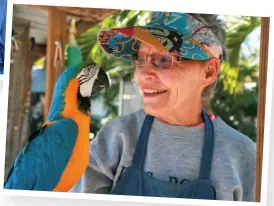  ??  ?? Dick Muench (upper left) and Libby Baird
(above) show off some of Periwinkle Park’s more colorful inhabitant­s. Muench has amassed a collection of parrots and other wildlife over his many years operating the park.