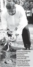  ??  ?? Ports and Shipping Acting Minister Nishantha Muthuhetti­gama joins the tree planting campaign at the SLPA’S Sri Sambuddhat­hwa Jayanthi premises