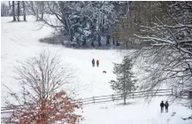  ?? GILLIAN JONES/THE BERKSHIRE EAGLE VIA AP ?? Hikers trudge through fresh snow along the trails of the Clark Art Institute in Williamsto­wn, Mass., on Sunday.