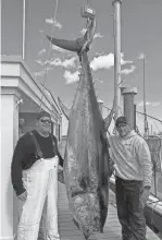  ?? PROVIDED BY JEFF COVERT ?? Capt. Kevin Goldberg, right, and Mike Resetar stand next to the 718-pound giant bluefin tuna they caught April 19 on Goldberg's boat Marener.