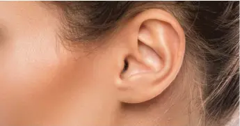  ?? STOCK.ADOBE.COM ?? The ear is a gateway that scientists can use to tinker with the body’s metabolic balance.