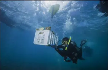  ?? JIM HELLEMN VIA AP ?? Diver and Force Blue Co-Founder Rudy Reyes handles a crate full of coral to replace corals ripped off the reef during Hurricane Maria, as part of a nearly $1.5 million coral reef restoratio­n effort largely funded by the federal government, off the...