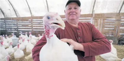  ?? ERIC WYNNE • THE CHRONICLE HERALD ?? Joe Ebbett, owner of Ebbett’s Meadow Brook Farms in Tatamagouc­he, is preparing for his busy season.