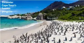  ??  ?? Encounter Cape Town’s famous penguins