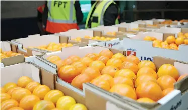  ?? DOCTOR NGCOBO African News Agency (ANA) ?? THE citrus industry expects to break all export season records, with an estimated 158.7 million cartons this year. If this estimate was reached, it would represent a third consecutiv­e season of record export volumes. |