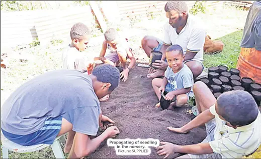  ?? Picture: SUPPLIED ?? Propagatin­g of seedling in the nursery.