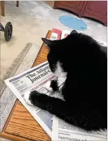  ??  ?? Jerry Toborowski shared this photo of Spencer the Cat reading his morning paper. Editor’s note: Good kitty!