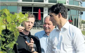  ?? ALLAN BENNER/POSTMEDIA NEWS ?? Niagara college’s head winemaker, Gavin Robertson, left, and college president Dan Patterson lead Prime Minister Justin Trudeau on a tour of the college’s teaching winery on Saturday.