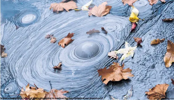  ?? Photo / Andrew Warner ?? Is that a mud pool or is it a pit that's attempting to swallow the last vestiges of our democracy?