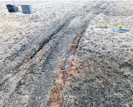  ?? IAN NATHANSON • CAPE BRETON POST ?? All-terrain vehicle tire marks shown through a portion of Chalmers Cemetery in Dominion on Tuesday.