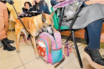  ??  ?? El operativo Mochila Segura llegó a la Escuela Preparator­ia Número 146 en Metepec, Estado de México.