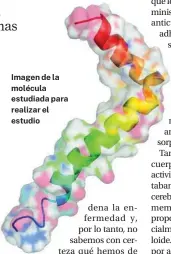  ?? ?? Imagen de la molécula estudiada para realizar el estudio