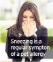  ??  ?? Sneezing is a regular sympton of a pet allergy