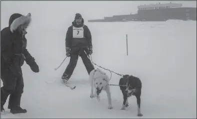  ??  ?? BRECK AND CHECK— Tim Lemaire is met by wife Jessica has he and the dogs arrive in first place at the finish of the skijor race Saturday.