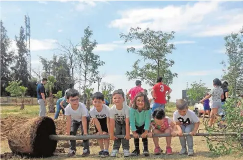  ?? A. F. ?? Alumnos del colegio Rodrigo Caro de Utrera participan en una reciente plantación de árboles en Vistalegre