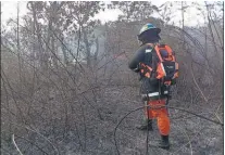  ??  ?? Disposició­n. Hay un decreto que regula la quema durante la época seca con vientos fuertes.