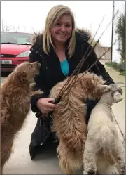  ??  ?? Mary Gethings from Ferns was greeted by Aileen and Michael’s two dogs and new pet lamb as she collected her May bushes.