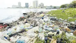  ?? FILE ?? This file photo shows garbage piled up along the Kingston shoreline.