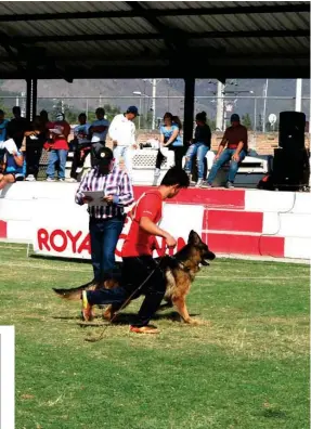  ??  ?? REFERENCIA. El binomio hombre - perro hace especialme­nte atractiva esta práctica deportiva. (Foto: Archivo La Hora)