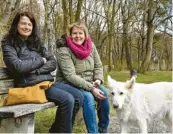  ??  ?? Angelika Pfänder (rechts) mit ihrem weißen Schäferhun­d Sira und Freundin Cornelia Schneider.