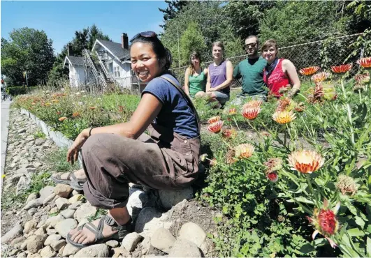  ?? WAYNE LEIDENFROS­T/ PNG ?? Emi Do tends the urban farm on 41st Avenue in Vancouver with friends Lauren McIndoe, Jennifer van den Brink, Mert Kecik and Luna Hallam. They were forced into an early harvest last month after a neighbour complained about the height of the Jerusalem...