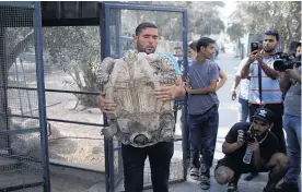  ??  ?? Muhammed Aweda, one of the owners of the Khan Younis zoo, prepares a turtle for transfer out of the Gaza Strip.