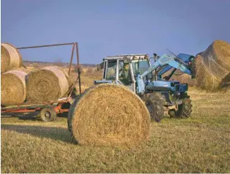  ?? JACQUES NADEAU LE DEVOIR ?? Le manque de main-d’oeuvre agricole au Québec est une des préoccupat­ions de l’UPA.