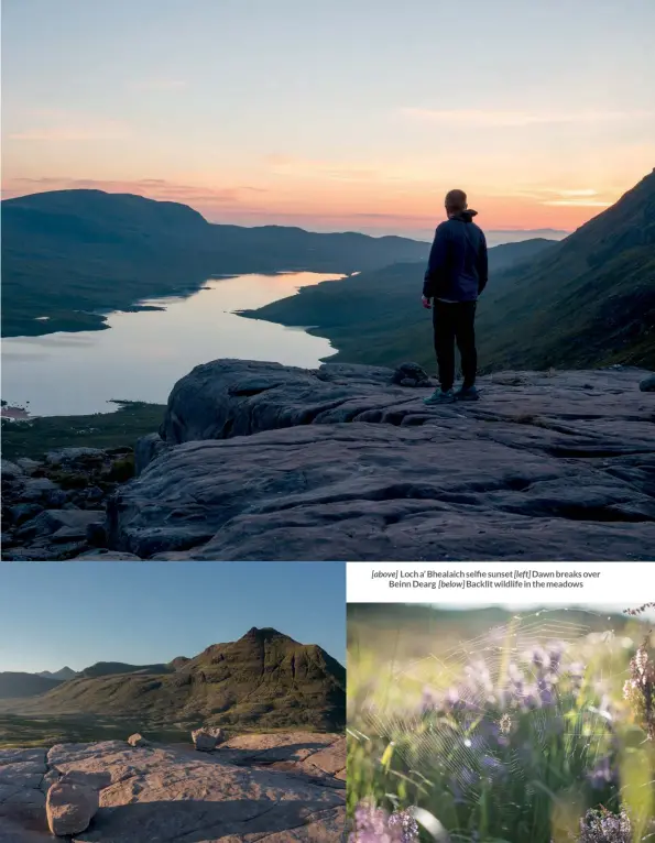  ??  ?? [above] Loch a’ Bhealaich selfie sunset [left] Dawn breaks over Beinn Dearg [below] Backlit wildlife in the meadows