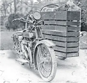  ?? ?? Imagine transporti­ng a full-grown beast to market in a built-up sidecar like this – but at least there’d be no chance of lifting on left-handers! Note once again the crosses signifying the ‘cut-out’ boundaries for publicatio­n.