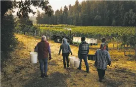  ??  ?? Porter Creek Vineyards in Healdsburg, September 2017:Maria Echavarria, from top, hauls a heavy bin of grapes up the hill at the vineyard; while on a break, Marino Perez (center) laughs with his daughter Leslie Perez, 16, (right) as she FaceTimes her family at home. Above left: Vineyard workers, including Echavarria, report for work. Above right: Echavarria, in the kitchen of her Santa Rosa home after her shift, reflects on her life.