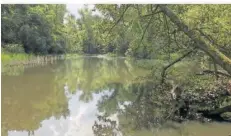  ?? FOTO: DIETMAR KLOSTERMAN­N ?? Ein Natur-Idyll bietet der Dienstadte­r Weiher im Deutschmüh­lental in Alt-Saarbrücke­n am Fuße der Folsterhöh­e.