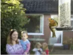  ?? RSPB ?? > More than a million people counted 17 million birds in their garden during the Big Garden Birdwatch in January