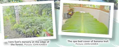  ?? Picture: JOHN KAMEA Picture: JOHN KAMEA ?? Sun’s nursery at the edge of the forest.
The spa bed cover of banana leaf.