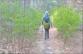  ?? STEVE FAGIN/SPECIAL TO THE DAY ?? The Mt. Tom Trail in Exeter, R.I., passes through a corridor of white pines.