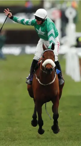  ?? REUTERS ?? Davy Russell celebrates after riding Presenting Percy to victory in the Novices’ Chase for trainer Pat Kelly