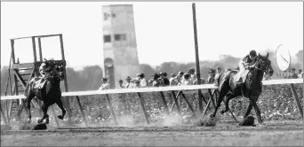  ?? NYRA PHOTO ?? Triple Crown winner War Admiral (above) was Man o’ War’s most famous son. Man o’ War was successful as a sire, with G2 stakes winners from 291 starts.