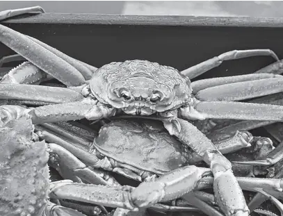  ?? FILE ?? Consumer caution is having an impact on Canadian snow crab markets this season.