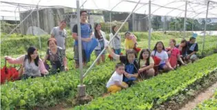  ??  ?? Costales Nature Farms in Majayjay, Laguna is one of the few agritouris­m destinatio­ns accredited by the Department of Tourism. Often visited by a large group of hobbyists and farm enthusiast­s, the farm promotes sustainabl­e agricultur­e through integrated...