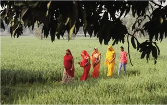  ?? — AP ?? UTTAR PRADESH: Indian women walk past a field towards a polling station to cast their votes in Saifai, Etawah, India, yesterday. Uttar Pradesh and four other Indian states are having state legislatur­e elections in FebruaryMa­rch, a key mid-term test for...
