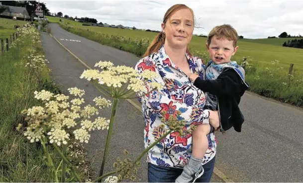  ?? Photograph: Kenny Elrick ?? INVADER: Claire McPherson and son Jake, two, next to giant hogweed sprouting up near Logie Durno Primary School.