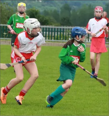  ??  ?? Shannon Redmond of Clonroche has Kilanerin’s Róisín Hughes breathing down her neck.