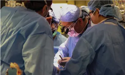  ?? Photograph: Michelle Rose/AP ?? Surgeons perform the world’s first geneticall­y modified pig kidney transplant into a living human at Massachuse­tts general hospital on 16 March in Boston.