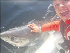  ?? Picture: Kevin Finch / Angling and Anxiety ?? Kevin Finch caught a 10ft porbeagle shark