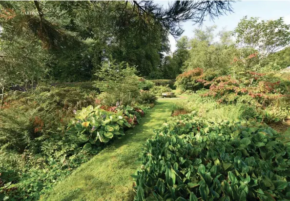  ??  ?? Above: A woodland walk in the policies.Left: Gates framing the Douglas firs outside the walled garden.