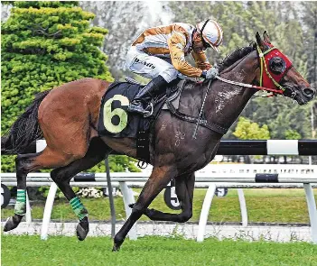 RUMEUR HAS IT A WIN IS NEAR FOR SIVA RACER - PressReader