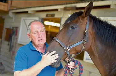  ??  ?? A home for horses: Phillips patting a horse in a stall at the ‘Brantome Police Horses’, a retirement home for horses of the British police, near Brantome. — AFP