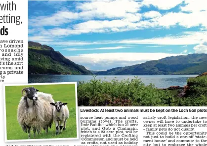  ??  ?? Livestock: At least two animals must be kept on the Loch Goil plots