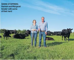  ??  ?? SHOW-STOPPERS: Hamish and Margaret Sclater with some of their herd