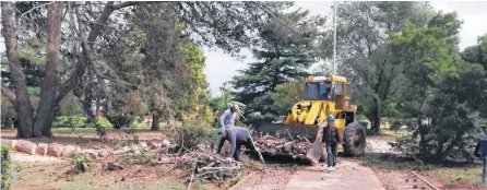  ?? ?? EN CORONEL Pringles los mayores destrozos se produjeron en el arbolado público, especialme­nte el del balneario municipal.